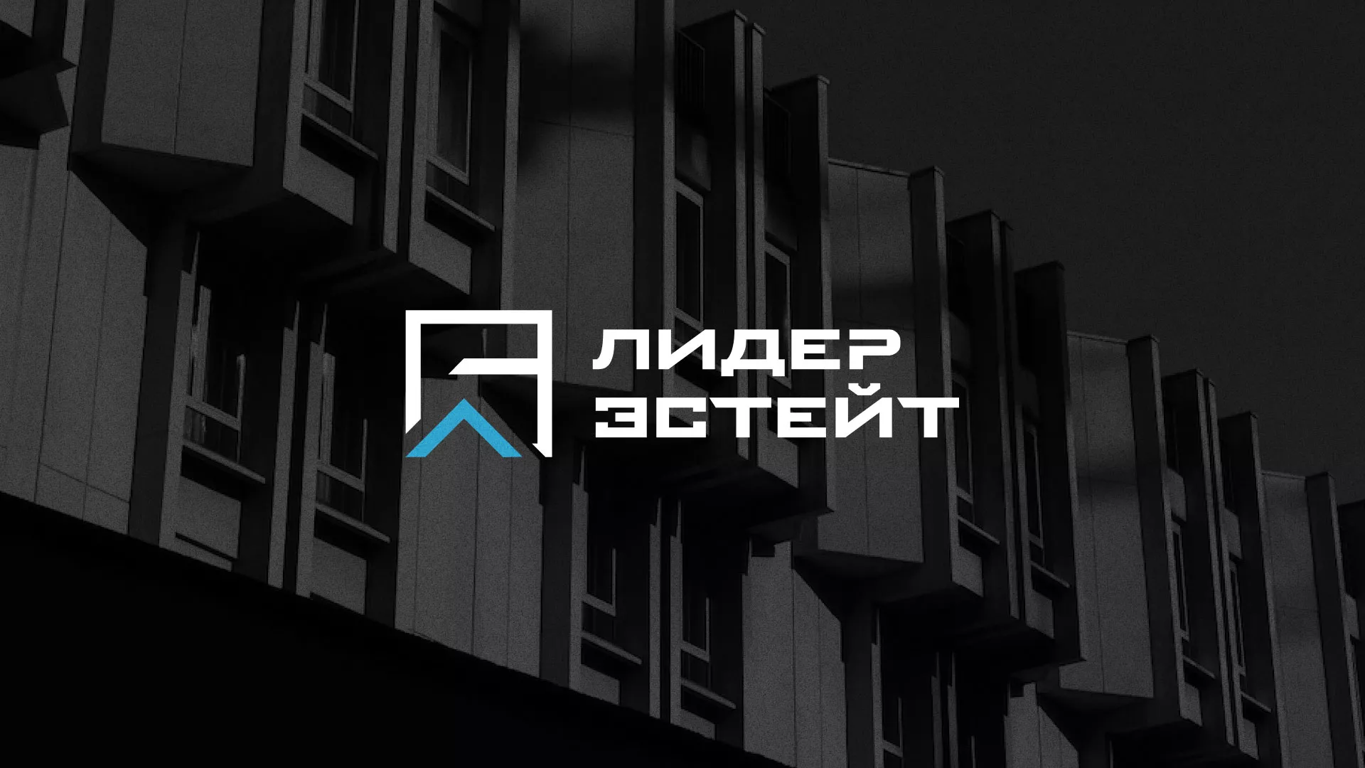 Разработка логотипа агентства недвижимости «Лидер Эстейт» в Минеральных Водах