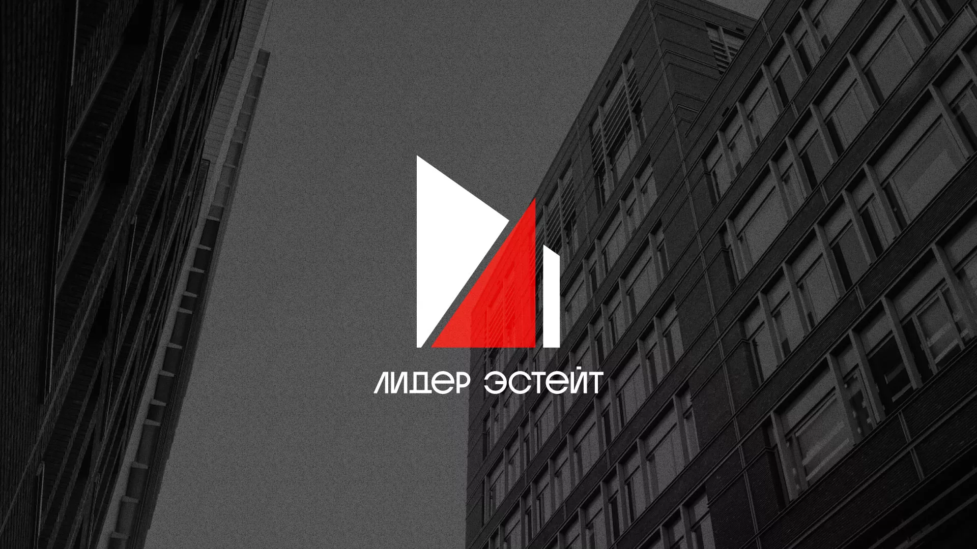 Сделали логотип для агентства недвижимости «Лидер Эстейт» в Минеральных Водах